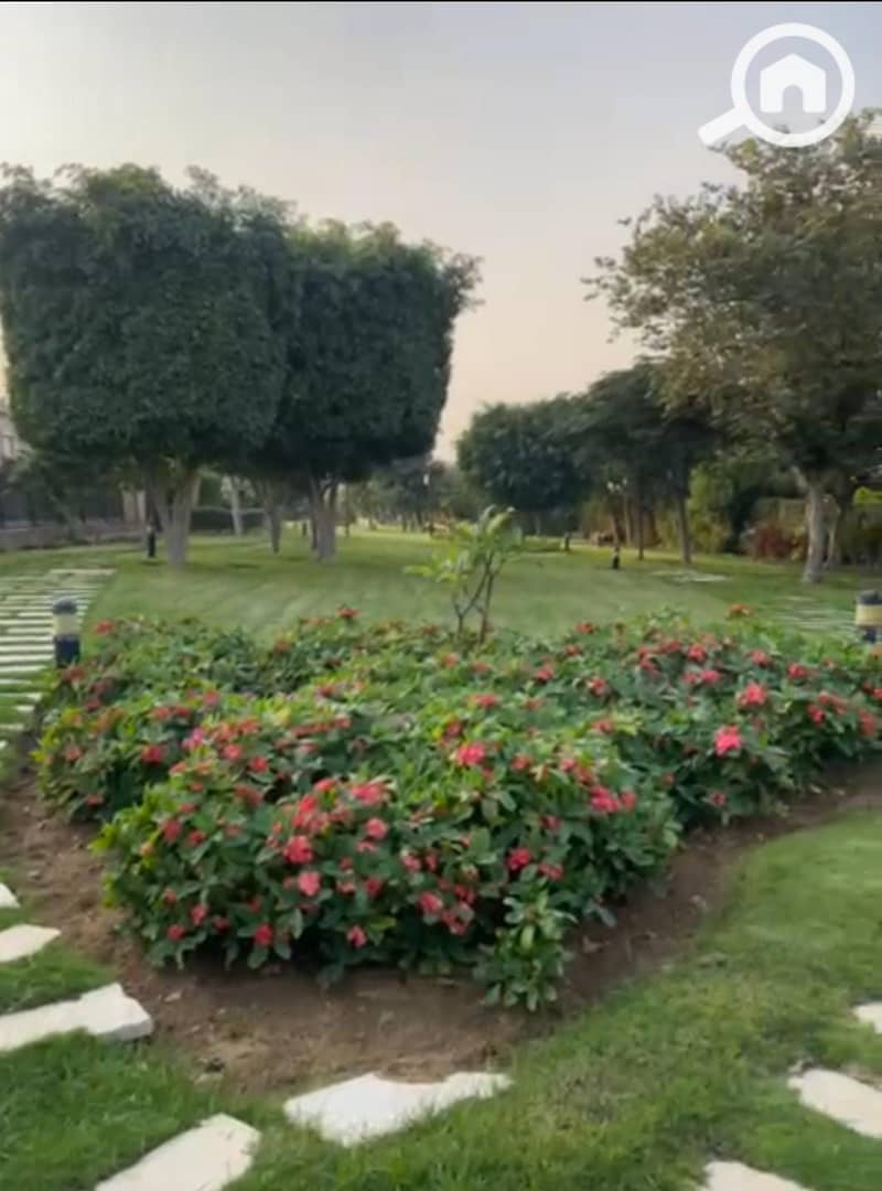 5 c3bc5729-3340-49f1-b503-aadef9c3e8c1. jpg