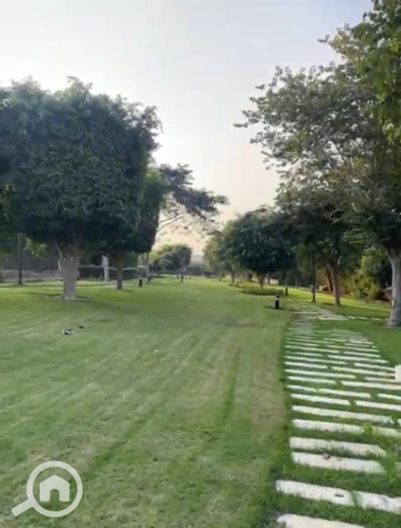 7 971c78ce-2629-4018-84c1-bcdb2945225d. jpg