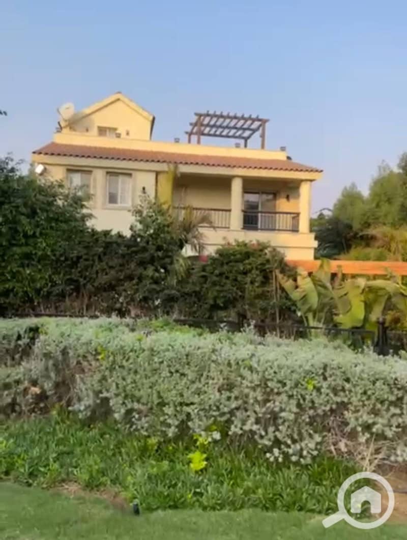 8 78a51107-7c42-4689-ad6a-393774e9da1d. jpg