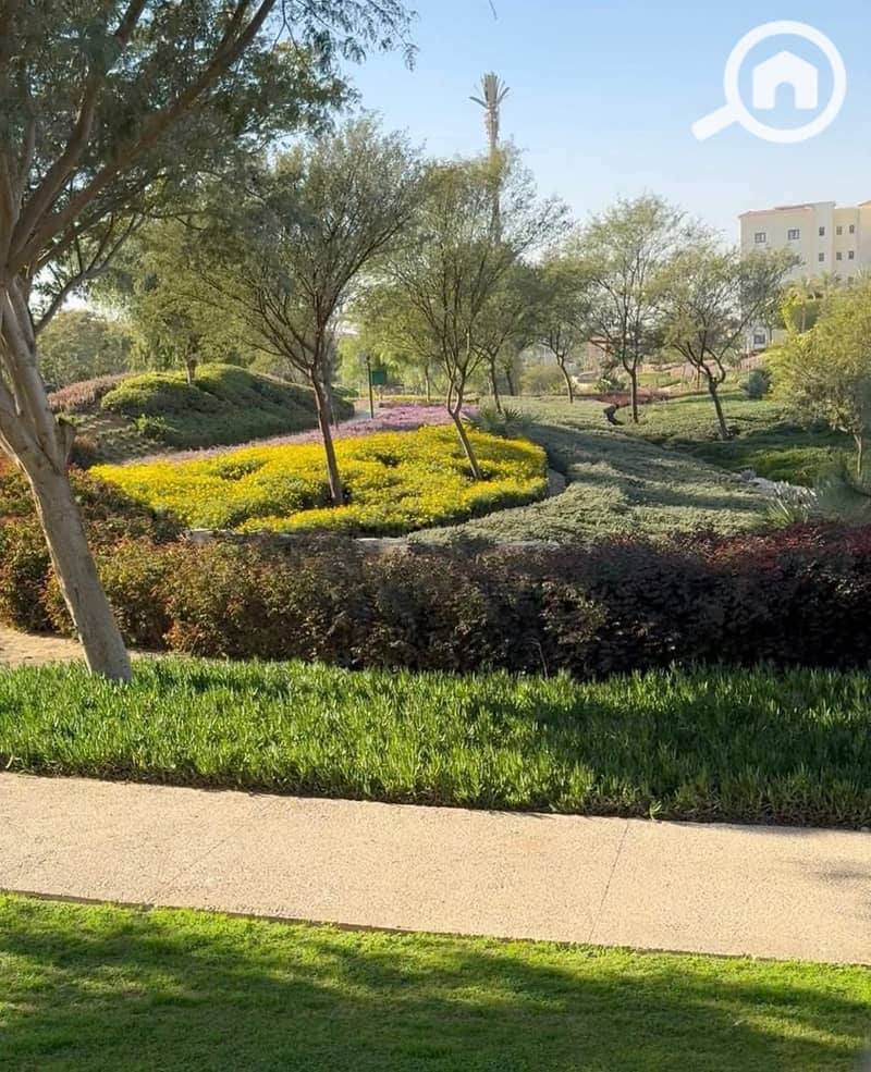 8 FB_IMG_1769106142897. jpg