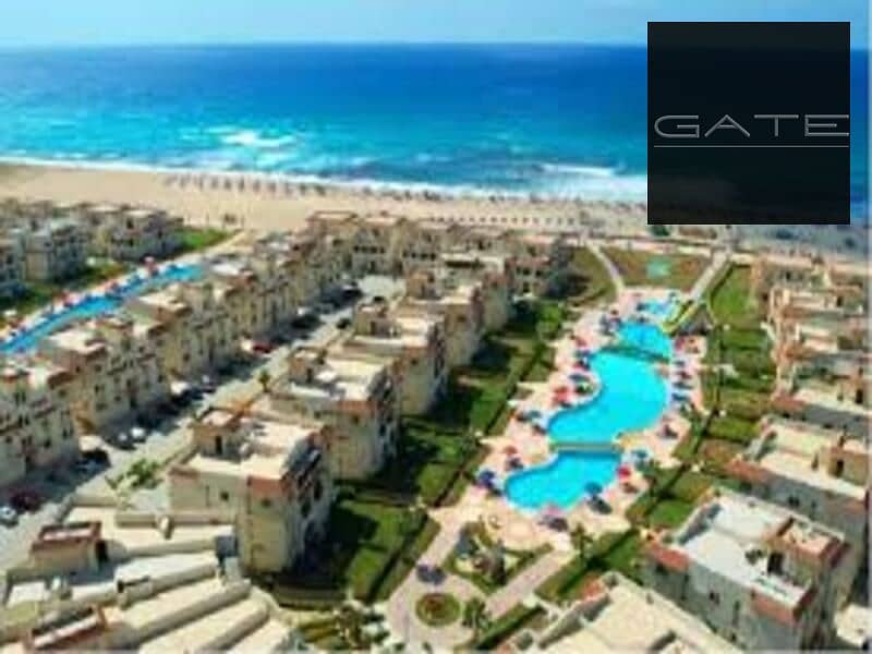 4 431474471_257844434052938_2878443920893199842_n. jpg