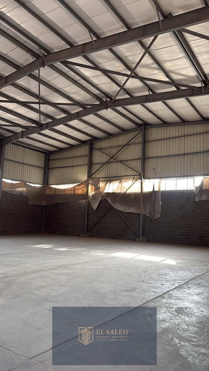 4 d5652875-6f4f-40af-874a-0d969194fb7b. jpg