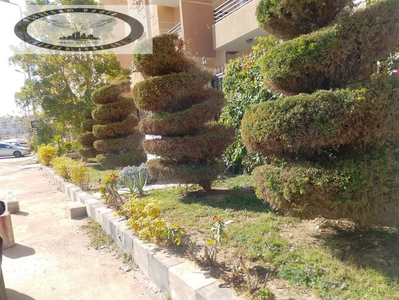 3 22a2d9ca-9efd-4ecd-9388-d62be0758dfa. jpg