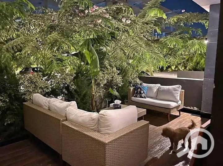 FB_IMG_1769406729980. jpg FB_IMG_1769406729980. jpg