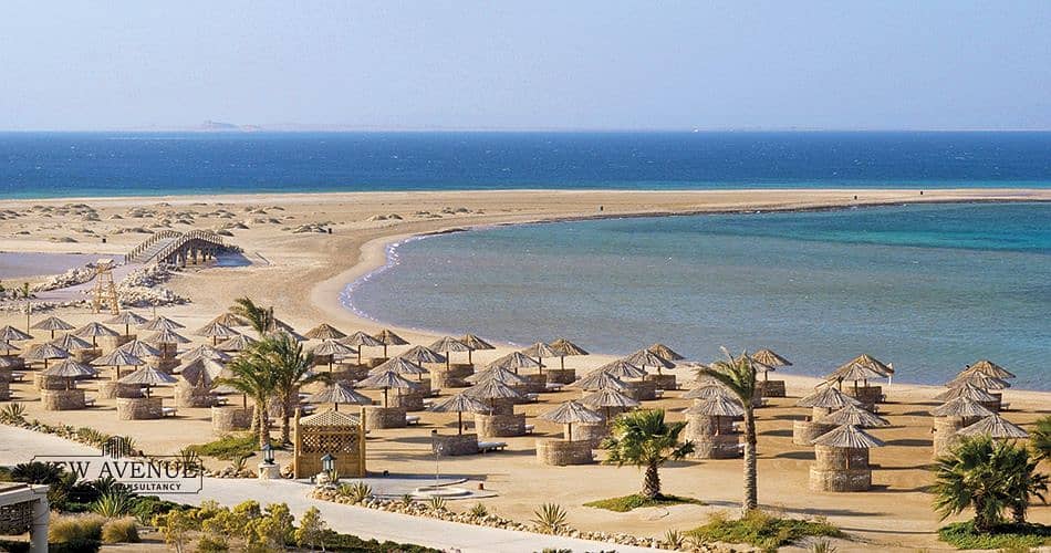 4 WhatsApp Image 2026-01-26 at 2.45. 43 PM (1). jpeg