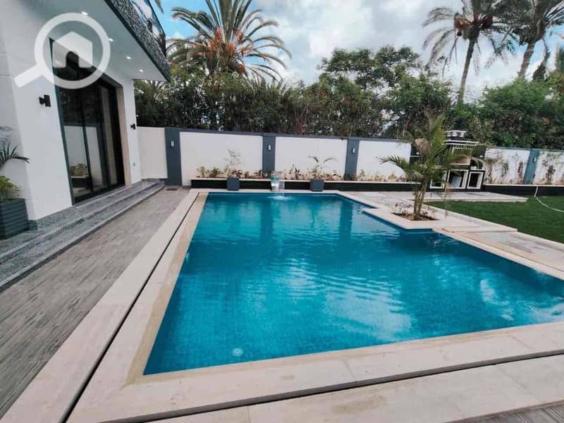 5 af9b1991-a837-4e59-a4ef-3a9fe7f15c75. jpg