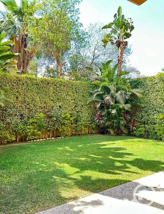 3 8e1a3655-03af-4271-8ad1-4f72b33a1eaa. jpeg