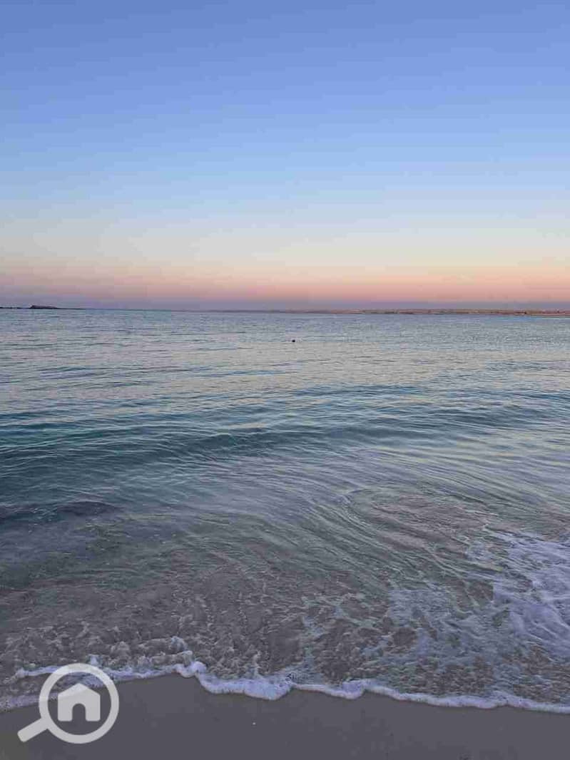 4 IMG-20250828-WA0063. jpg