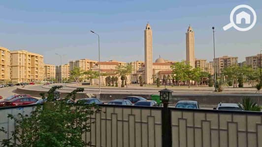 3 Bedroom Flat for Rent in Nasr City, Cairo - 1000625025. jpg