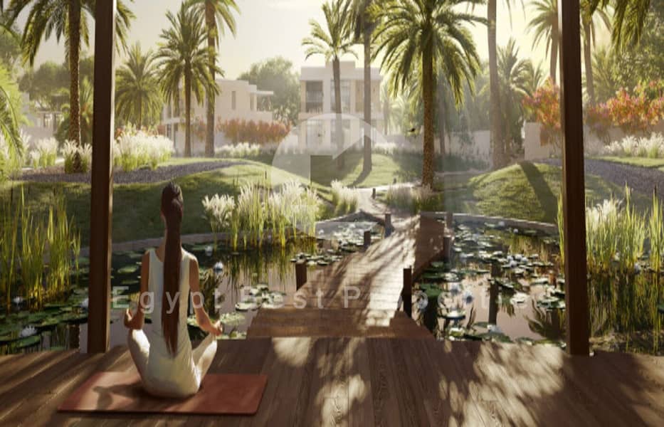 13 ZiJddHmt03U5razjqH78Ut6jBNzlGf. jpg