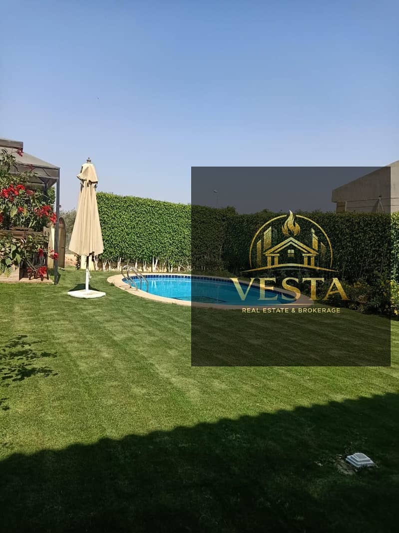 6 53411b5e-8f87-42dd-9f5f-032da0506d22. jpg