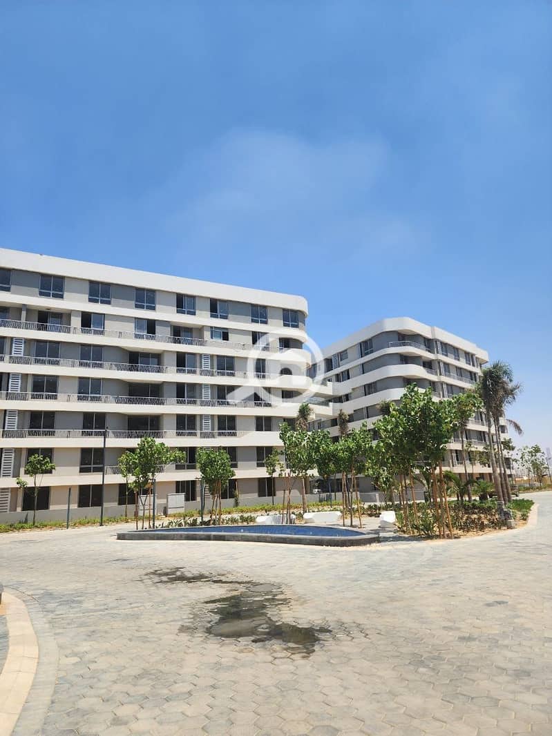 11 450542840_1121602985590544_7838246032204630884_n. jpg