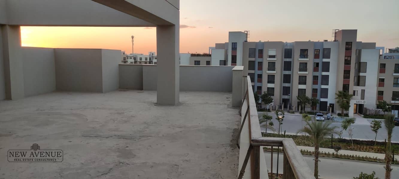 3 48c403ee-a581-42d5-8132-2e6695c9ce21. jpg