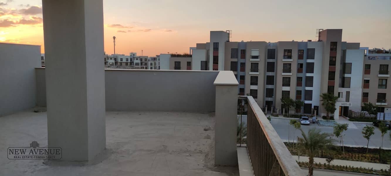 4 e02b5b78-dc98-402a-9a25-8a2a85132d3d. jpg