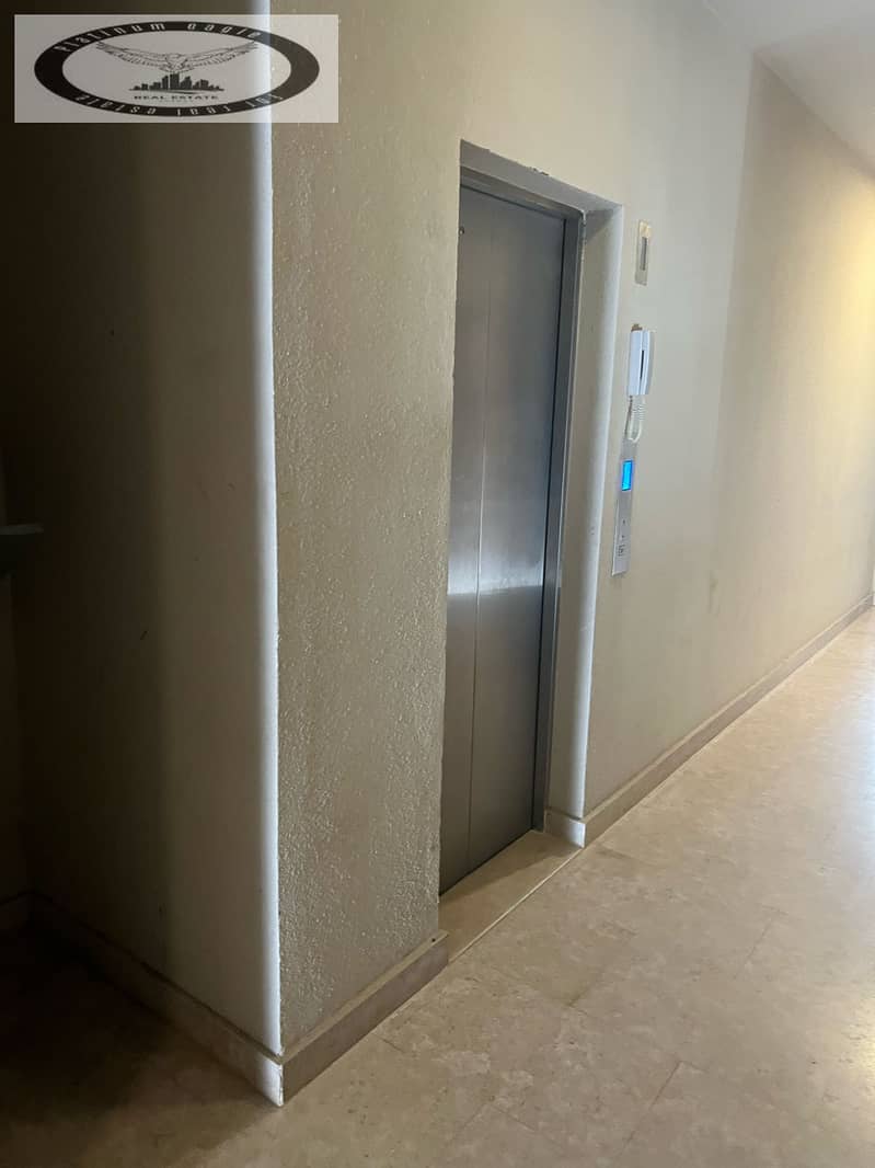 6 9169ff19-b612-4ee2-9d2b-393227ed14c1. jpg