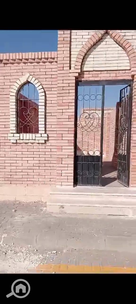 7 photo_3_2026-01-28_01-12-17. jpg