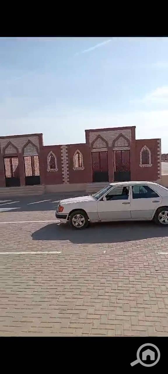 8 photo_6_2026-01-28_01-12-17. jpg