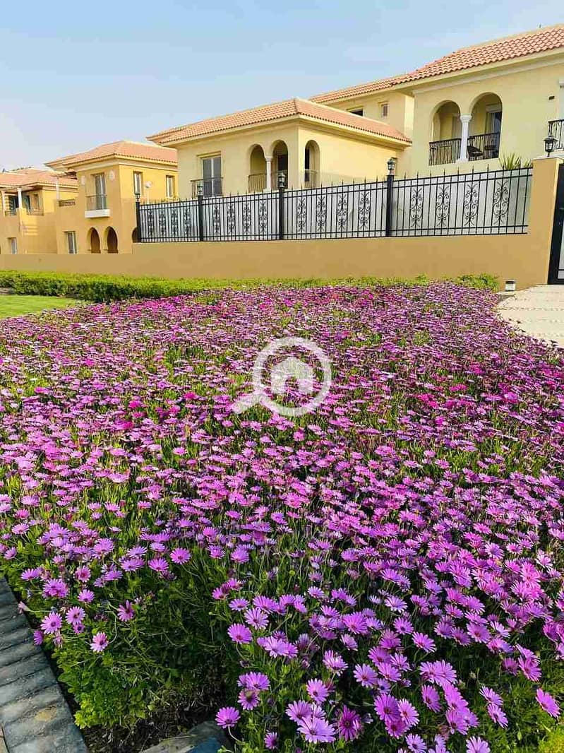 2 IMG_20230326_190108_888. jpg