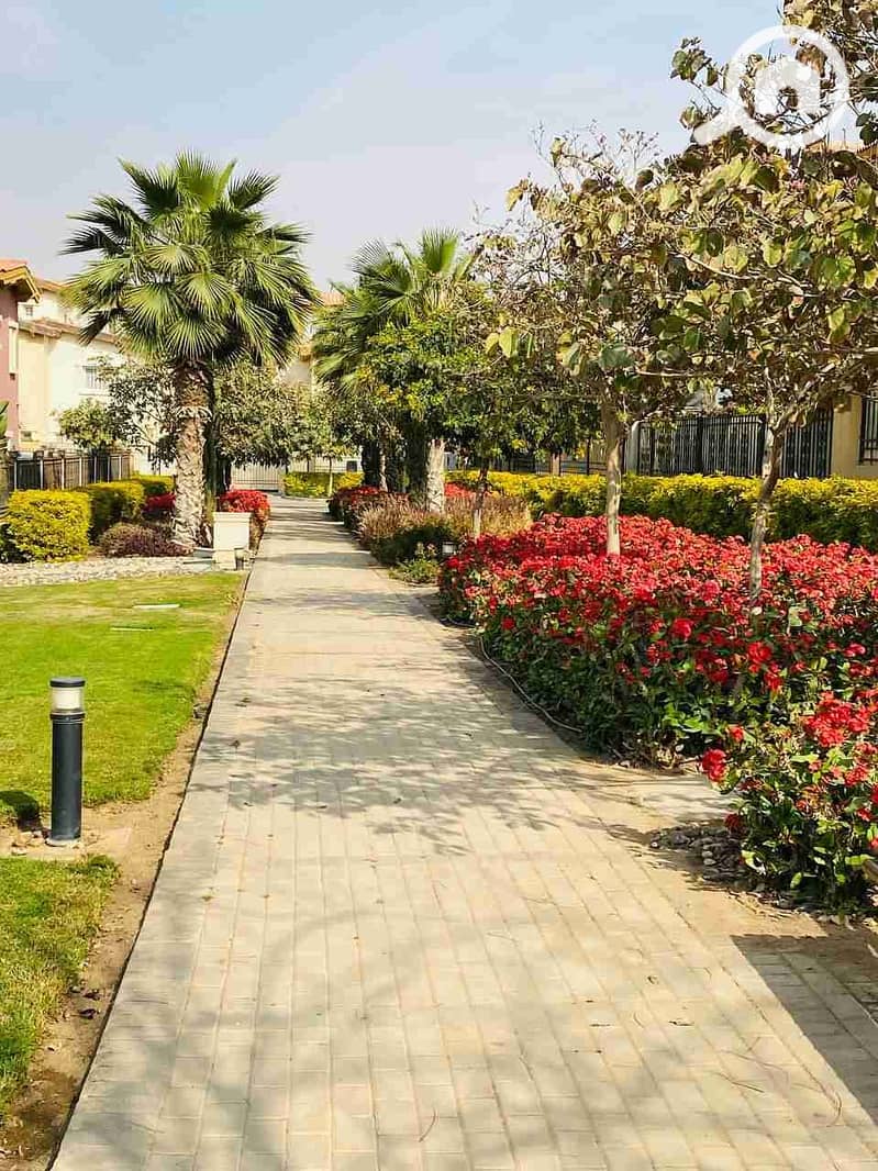 3 IMG_20230326_190047_981. jpg