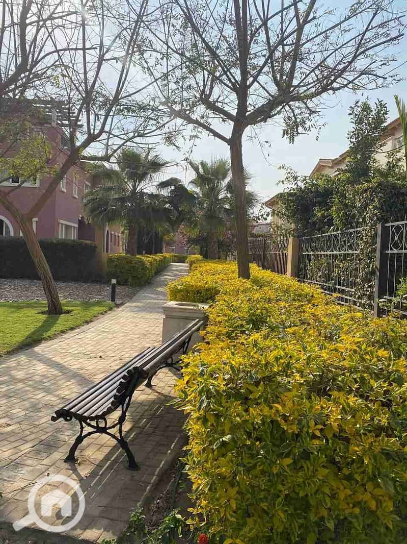 5 IMG_20230326_190047_678. jpg