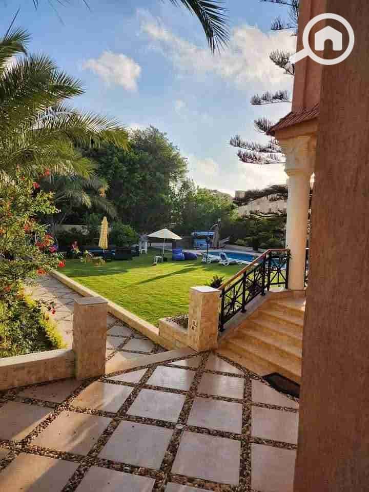 1000694863. jpg 1000694863. jpg