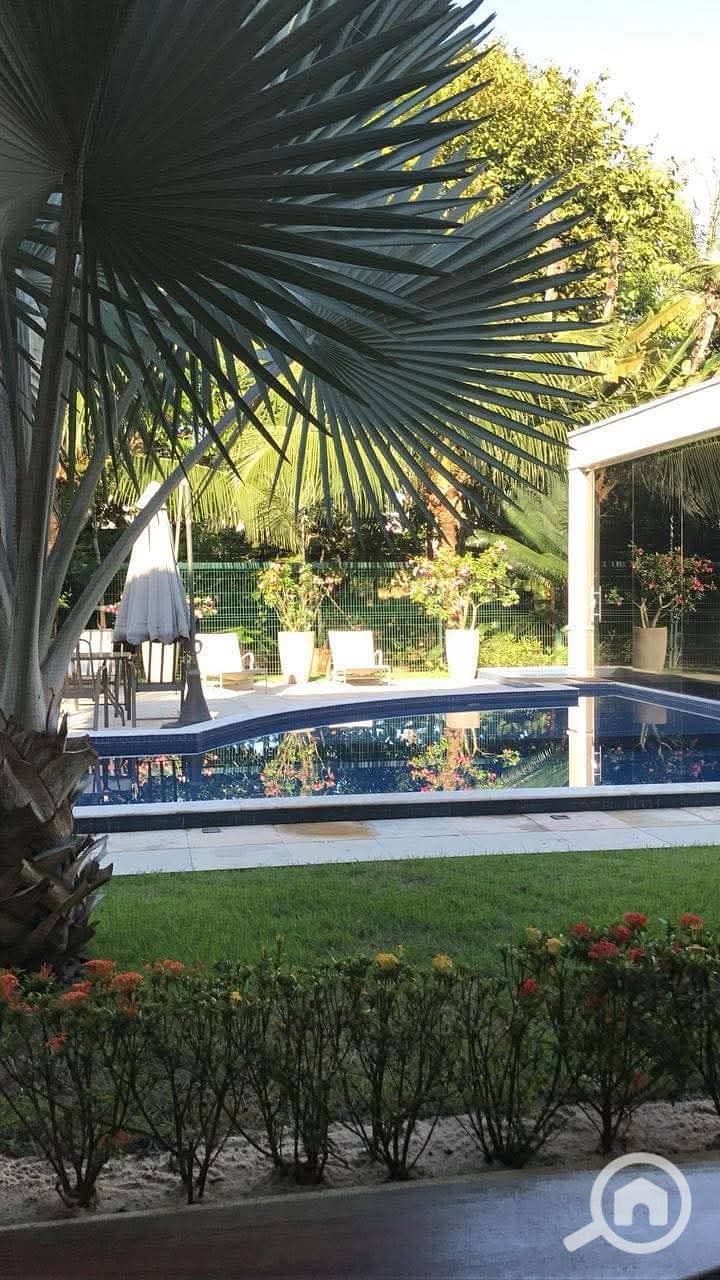 6 FB_IMG_1742977987154. jpg