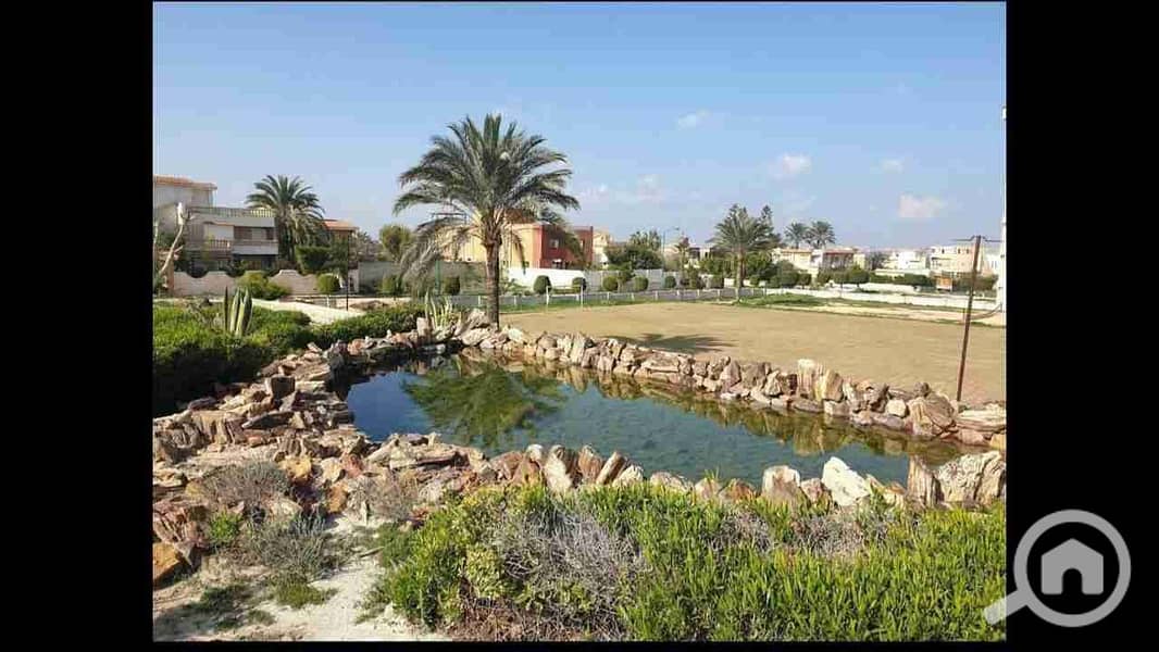 16 IMG-20250501-WA0047. jpg