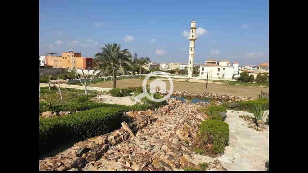 17 IMG-20250501-WA0051. jpg