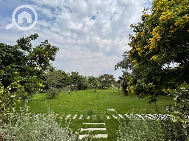 5 FB_IMG_1731483663612. jpg