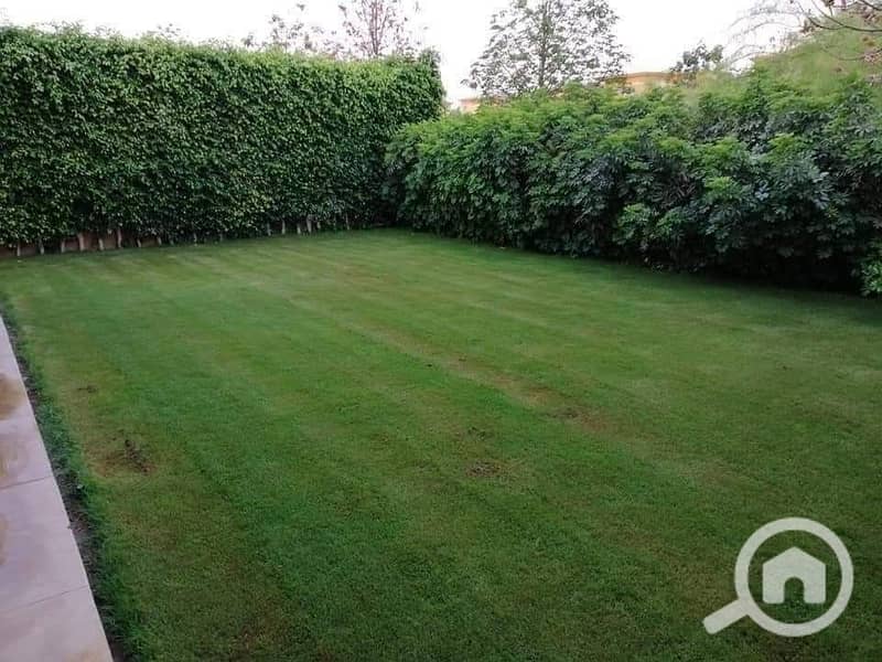 7 FB_IMG_1731062849182. jpg