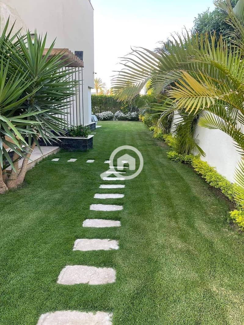 8 FB_IMG_1731062363958. jpg