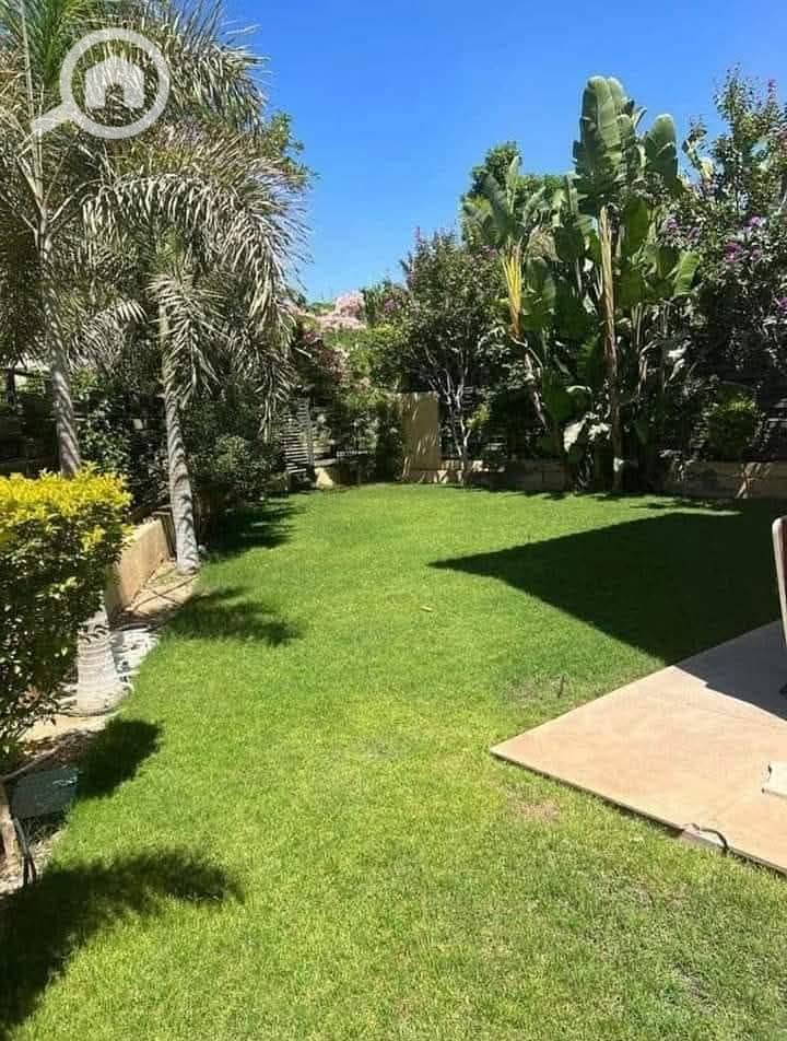 10 FB_IMG_1737164687575. jpg