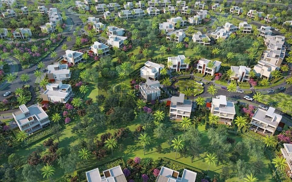 4 31b66628-04eb-43b0-a2a0-e0eb23a32538. jpg