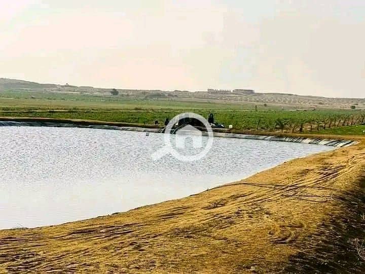 2 WhatsApp Image 2026-01-28 at 10.07. 58 AM (1). jpeg