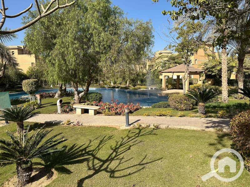 4 5080ece4-97d1-49f4-9d9c-5b7ed923b8d0. jpg