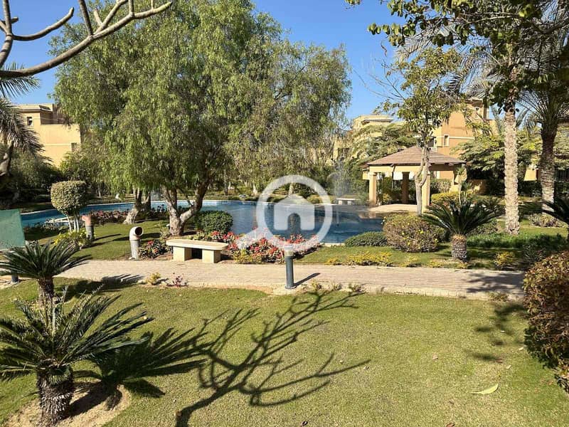 10 5080ece4-97d1-49f4-9d9c-5b7ed923b8d0. jpg