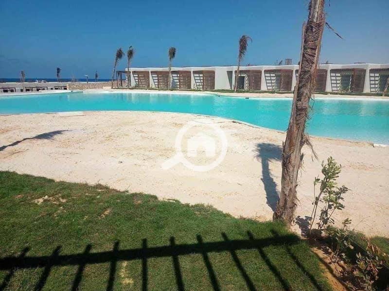 3 caa2496a-a269-44c5-86a3-3ec85322d2c9. jpg