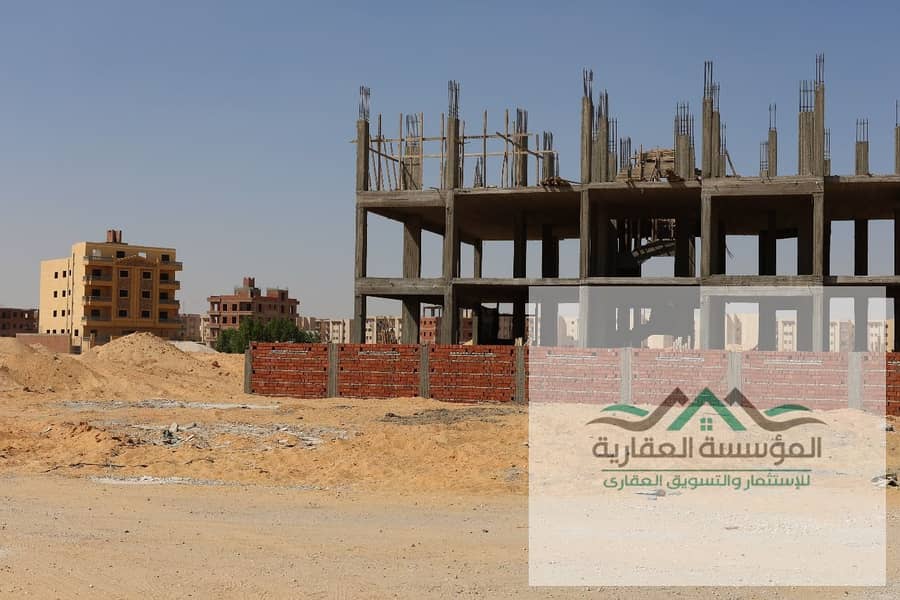 14 WhatsApp Image 2025-11-27 at 11.43. 35_dd71dfe1. jpg