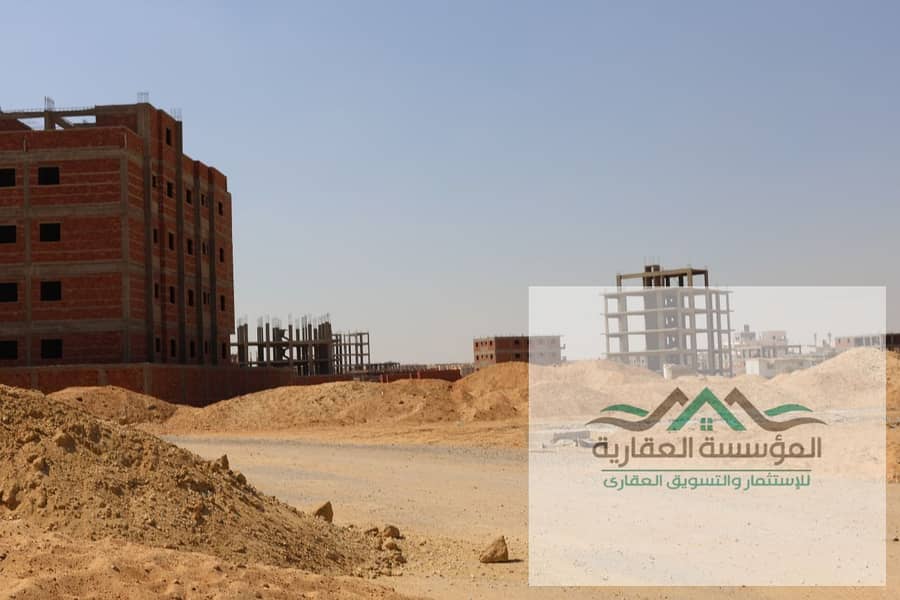 12 WhatsApp Image 2025-11-27 at 11.43. 39_3a961eca. jpg