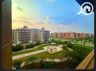 3 Bedroom Apartment for Rent in Shorouk City, Cairo - 1000061496. jpg