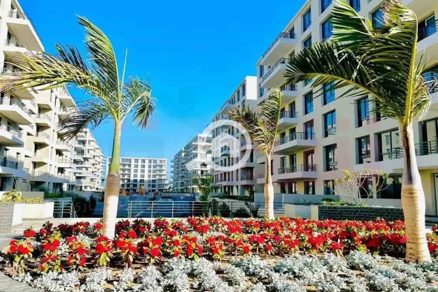 6 WhatsApp Image 2026-01-14 at 4.46. 50 PM. jpg