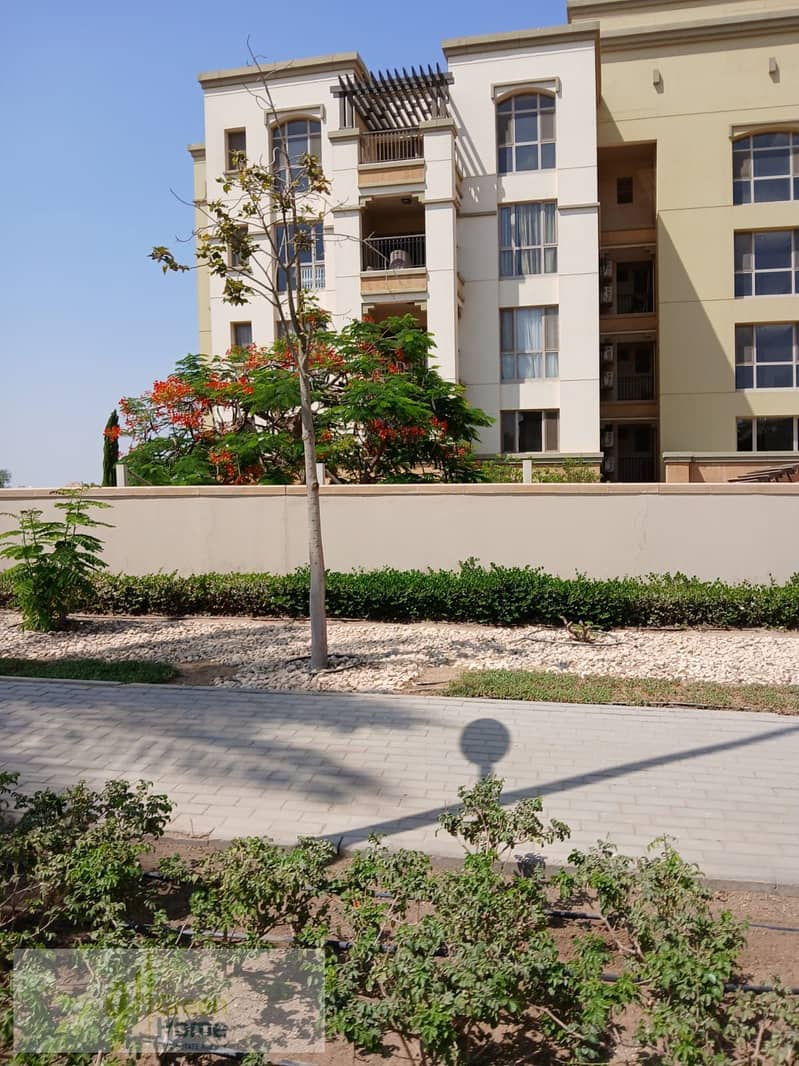 11 a74fc79d-0e2e-4b47-a4c1-81e2b5a1bab7. jpg