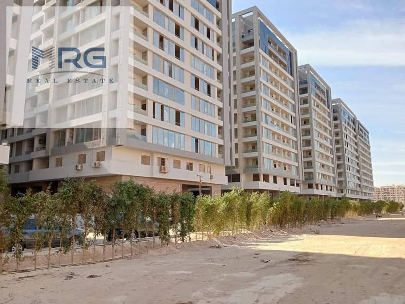 5 564638759_1291454902994718_3198803934110785050_n. jpg