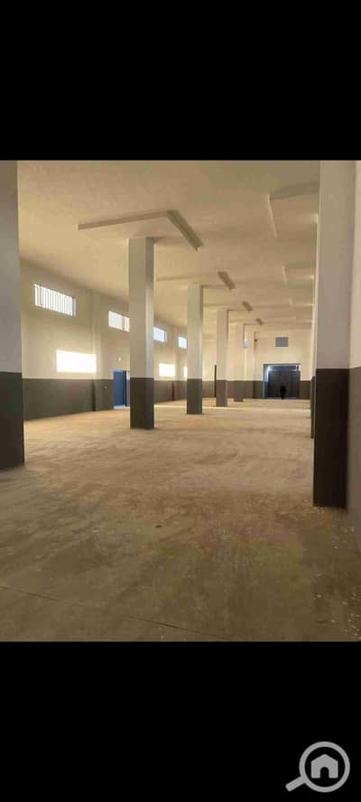 Factory for Rent in 10th of Ramadan, Sharqia - 1001302058. jpg