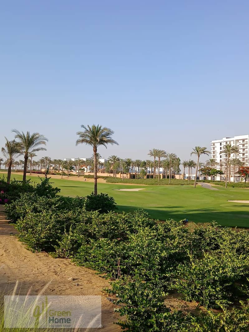 6 5a0d35ea-2efb-43b4-b6b4-0816fecacc67. jpg