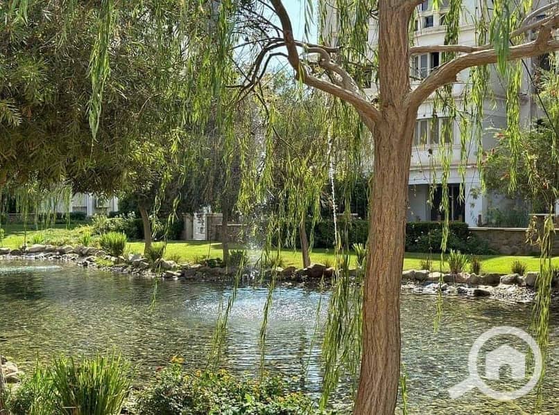 4 IMG-20240512-WA0150. jpg