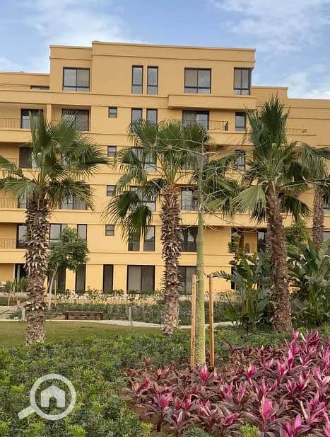 6 Screenshot (19). png