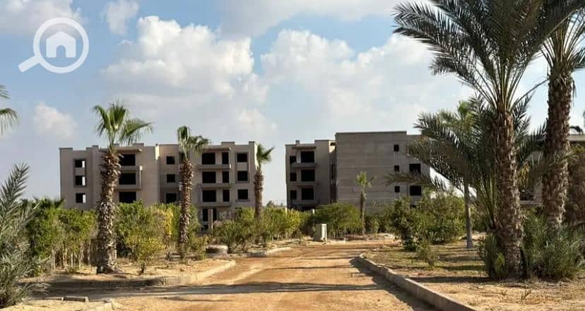 9 WhatsApp Image 2026-01-28 at 11.54. 13 AM (4). jpeg