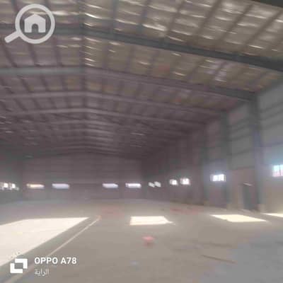 Factory for Rent in 10th of Ramadan, Sharqia - 1001300825. jpg