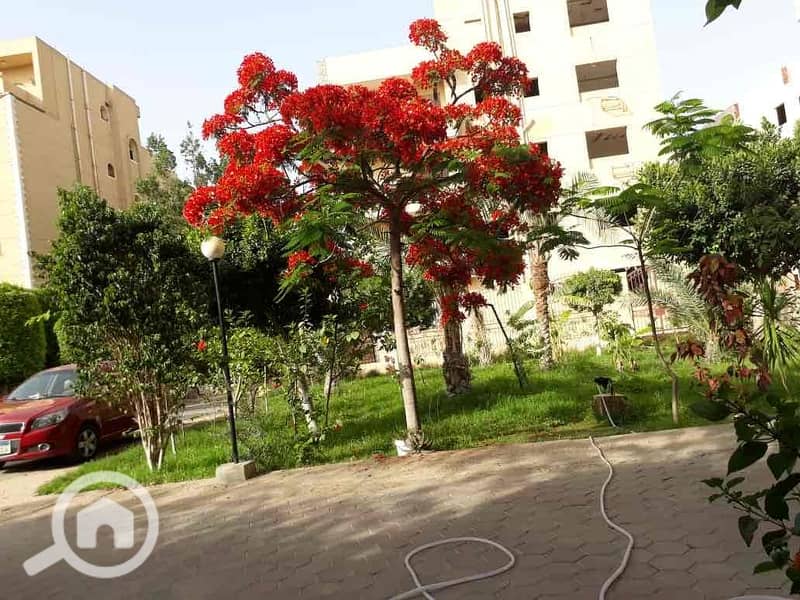 e6060eb5-e8f1-4805-ad2c-ba14cebc6ecb. jpg e6060eb5-e8f1-4805-ad2c-ba14cebc6ecb. jpg